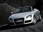 Audi TT Roadster 2007 года (WW)